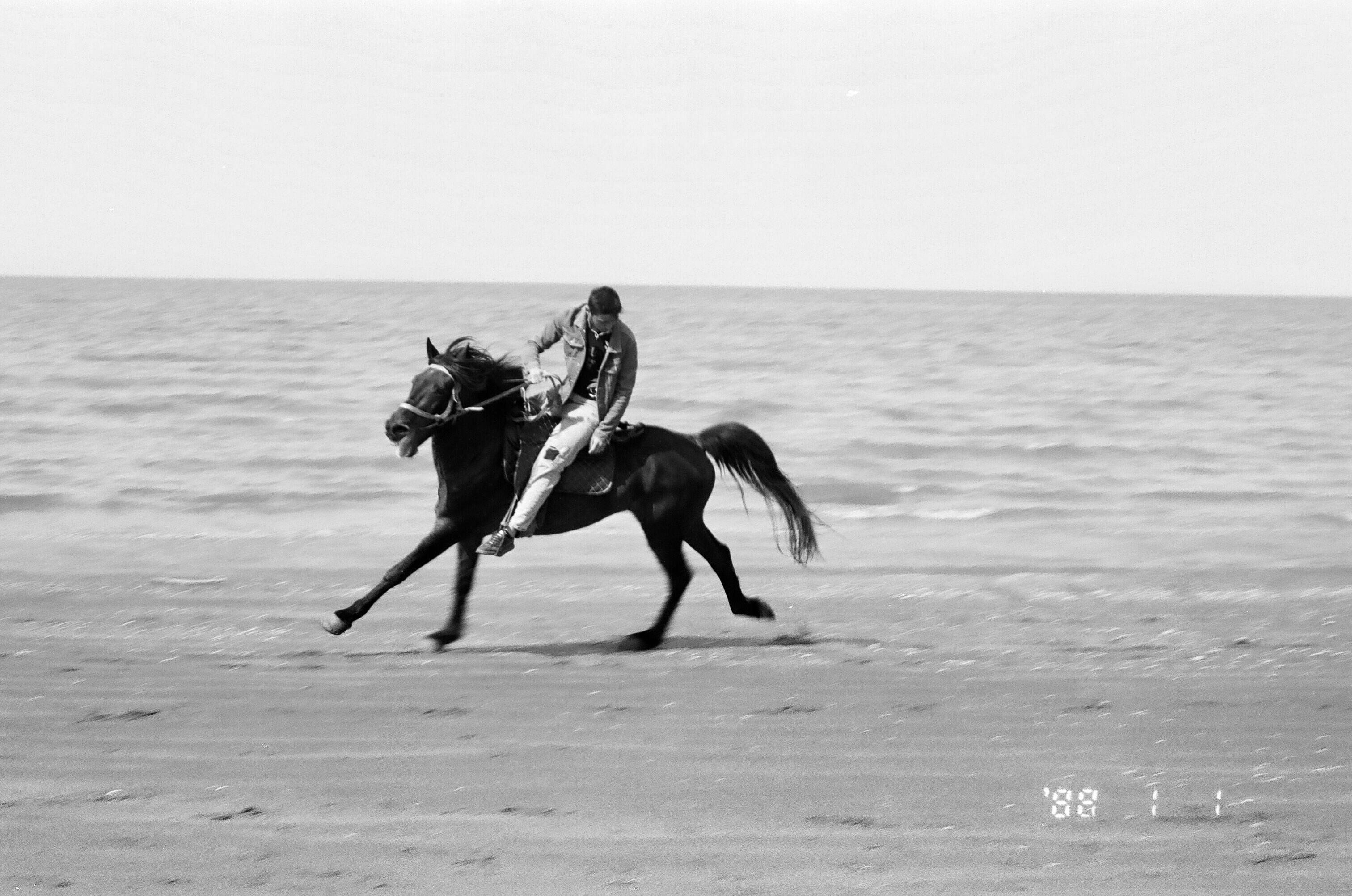 this should be an image